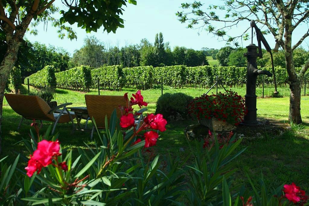 Bleu Raisin Bed & Breakfast Les Salles-de-Castillon Luaran gambar