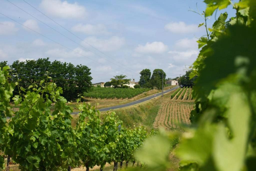 Bleu Raisin Bed & Breakfast Les Salles-de-Castillon Luaran gambar